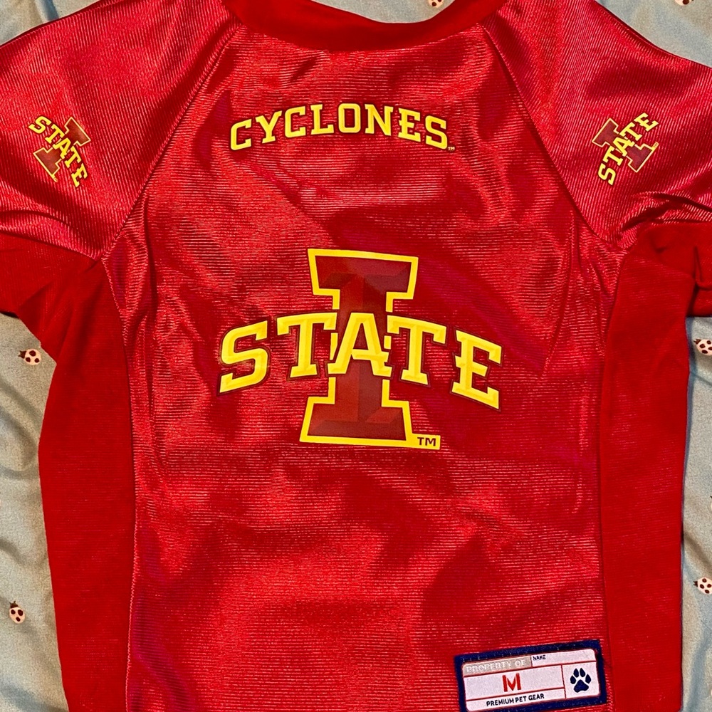 Iowa State University dog football shirt